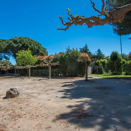 Azur Et Lavande Daire