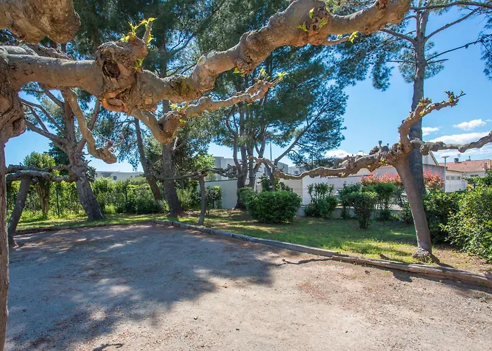 Azur Et Lavande *